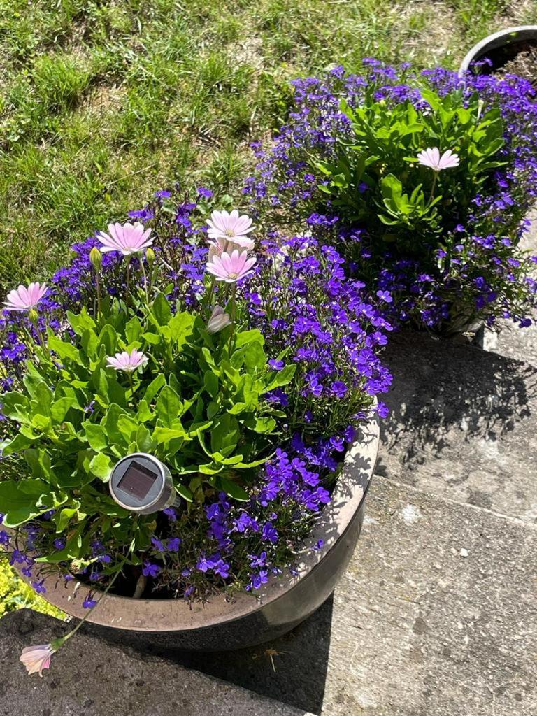 Rynge Teaters Boningshus Apartamento Ystad Exterior foto
